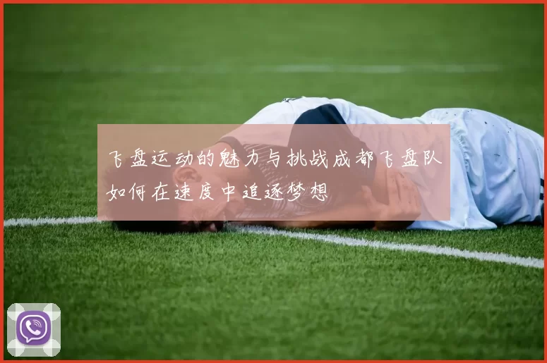 飞盘运动的魅力与挑战成都飞盘队如何在速度中追逐梦想