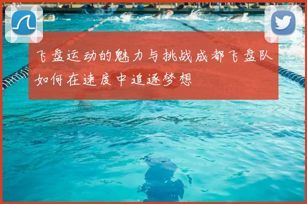 飞盘运动的魅力与挑战成都飞盘队如何在速度中追逐梦想