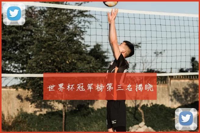 世界杯冠军榜第三名揭晓