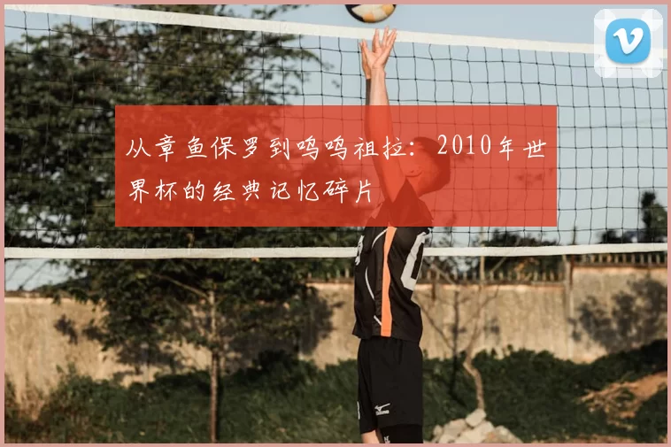 从章鱼保罗到呜呜祖拉:2010年世界杯的经典记忆碎片