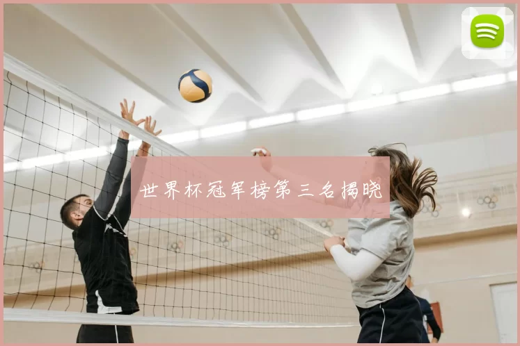 世界杯冠军榜第三名揭晓
