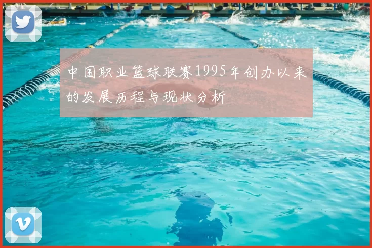 中国职业篮球联赛1995年创办以来的发展历程与现状分析