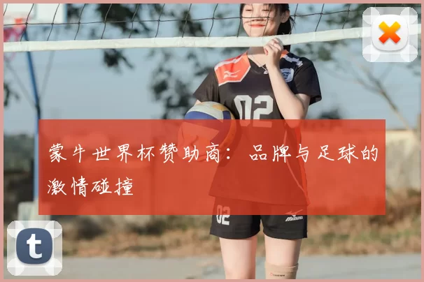 蒙牛世界杯赞助商：品牌与足球的激情碰撞