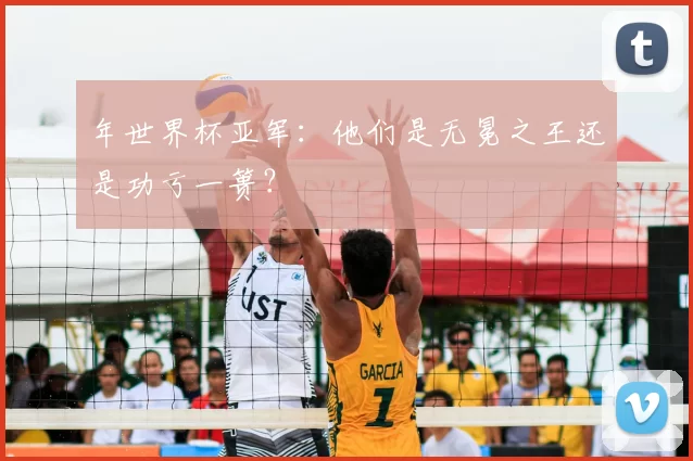 年世界杯亚军:他们是无冕之王还是功亏一篑?