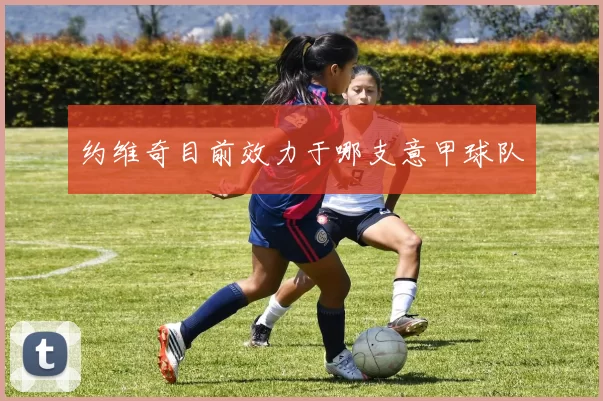 约维奇目前效力于哪支意甲球队