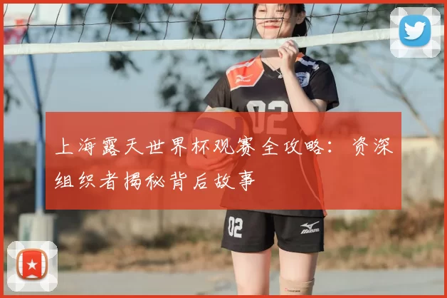 上海露天世界杯观赛全攻略：资深组织者揭秘背后故事