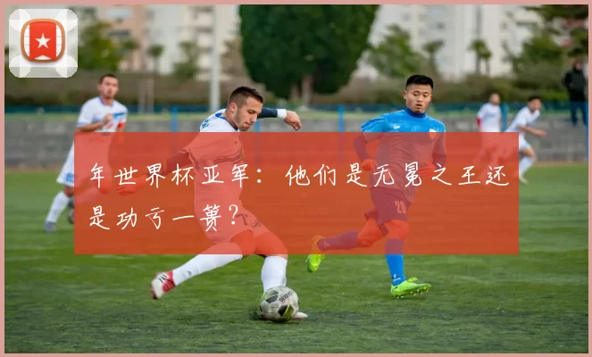 年世界杯亚军:他们是无冕之王还是功亏一篑?