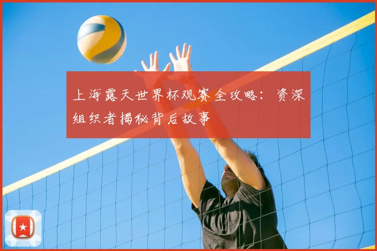 上海露天世界杯观赛全攻略：资深组织者揭秘背后故事