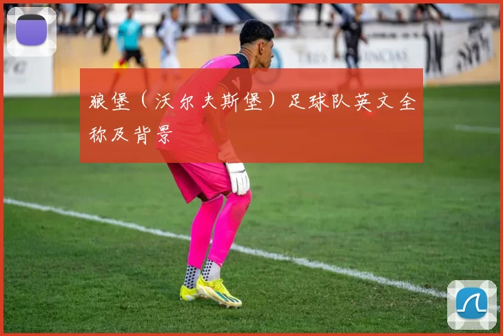 狼堡（沃尔夫斯堡）足球队英文全称及背景