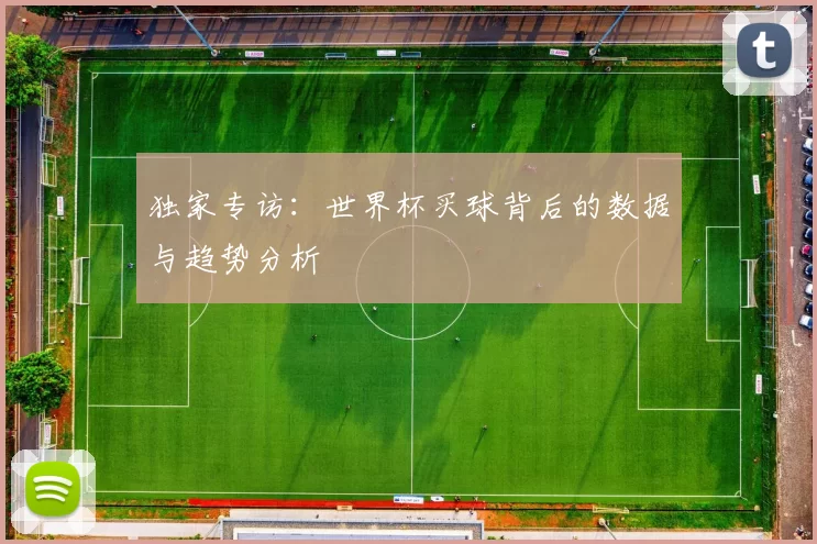 独家专访:世界杯买球背后的数据与趋势分析
