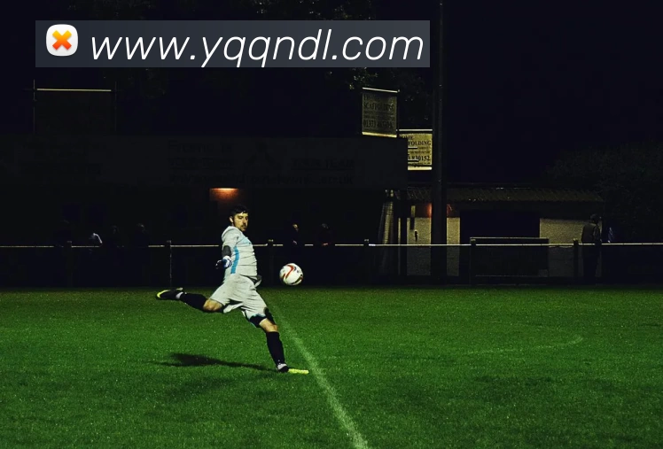 kaiyun平台生态图