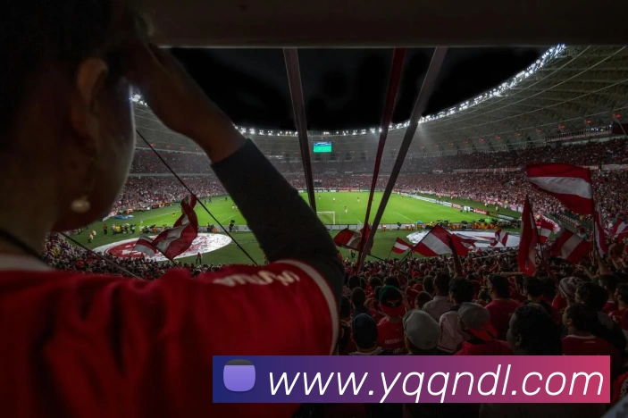 kaiyun平台生态图